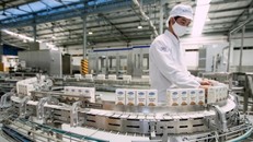 Vinamilk hiện có gần 10.000 người lao động đang làm việc tại 34 đơn vị thành viên trên cả nước