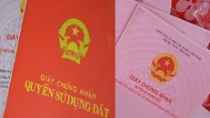 Những chính sách mới có hiệu lực từ tháng 9/2021