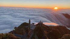 Ngắm Sa Pa đẹp lịm tim dù vắng bóng du khách