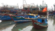 Sẵn sàng ứng phó với khả năng xuất hiện áp thấp nhiệt đới, bão trên biển Đông