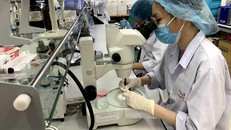 TP HCM: Nhiều trường đại học cho phép sinh viên đến trường thực hành, thí nghiệm