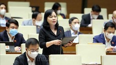 Đảm bảo đồng bộ chính sách đặc thù làm đòn bẩy phát triển