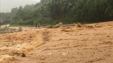 Các tỉnh, thành phố từ Thừa Thiên - Huế đến Khánh Hòa chủ động ứng phó với thời tiết nguy hiểm