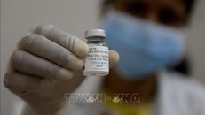 Vaccine ngừa COVID-19 của Ấn Độ có 'hiệu quả cao'