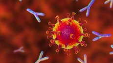 Hiệu quả của phương pháp điều trị bằng kháng thể đơn dòng trong điều trị COVID-19