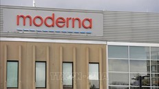 Moderna bước đầu thành công với hai loại vaccine mới