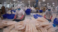 Việt Nam có thể là cầu nối thương mại giữa EAEU với ASEAN