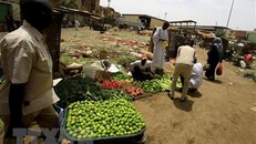 IMF gia hạn thanh toán nợ cho 25 nước thu nhập thấp