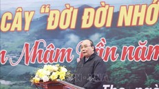 Chủ tịch nước Nguyễn Xuân Phúc phát động Tết Trồng cây tại Phú Thọ