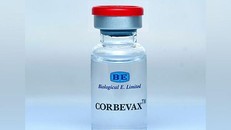 Ấn Độ phê chuẩn sử dụng khẩn cấp vaccine Corbevax cho trẻ từ 12-18 tuổi