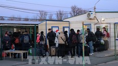 EC mở cổng thông tin trực tuyến hỗ trợ người dân sơ tán khỏi Ukraine