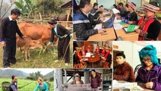 Đẩy mạnh phân cấp quản lý, tổ chức các Chương trình mục tiêu quốc gia