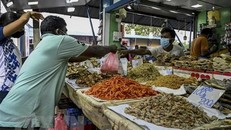 Thỏa thuận cứu trợ giữa IMF và Sri Lanka lùi đến tháng 9