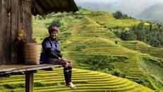 Việt Nam tăng hai bậc trong bảng xếp hạng toàn cầu về phát triển con người