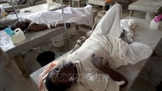WHO cảnh báo nguy cơ gia tăng số ca mắc bệnh tả tại Haiti