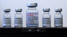 WHO chưa khuyến nghị sử dụng vaccine đặc hiệu ngừa biến thể Omicron thay cho loại cũ