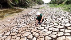 UNDP: Đảm bảo không ai bị bỏ lại phía sau trong ứng phó với biến đổi khí hậu