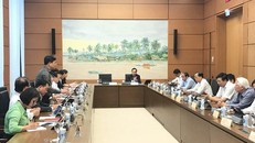 Họp Quốc hội: Trước 45 ngày sẽ đưa dãy số để đấu giá 'biển số ôtô đẹp'