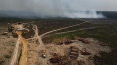 Lượng phát thải của Brazil cao nhất kể từ năm 2005