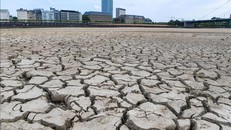 Đức trải qua năm nắng nóng, hạn hán kỷ lục