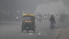 Sương mù dày đặc cản trở giao thông ở thủ đô Ấn Độ