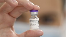 Israel: Không phát hiện mối liên hệ giữa vaccine ngừa COVID-19 của Pfizer với các ca đột quỵ