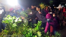 Tấp nập phiên chợ 'cả năm chỉ họp một lần' ở tỉnh Nam Định