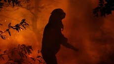 Chile mở rộng tình trạng khẩn cấp do cháy rừng