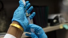 WHO hối thúc các nước châu Âu phát triển các chiến lược thúc đẩy tiêm chủng phòng sởi