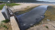 Sử dụng hiệu quả các nguồn lực ứng phó sự cố chất thải