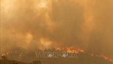 Cảnh báo về sự suy giảm của tầng ozone