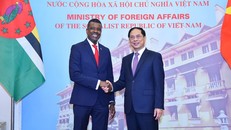 Tăng cường quan hệ song phương Việt Nam-Dominica trên cơ sở tiềm năng và thế mạnh của mỗi nước