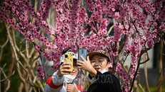 Nhiều người ý thức được tác hại của chứng 'nghiện' điện thoại di động