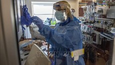 Biến thế XBB.1.16 là chủng gây bệnh COVID-19 chủ đạo thứ hai tại Mỹ