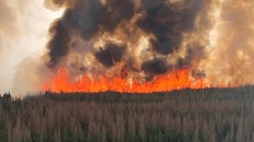 Cháy rừng vượt tầm kiểm soát ở miền Tây Canada