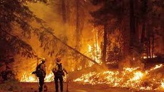 Ngày càng nhiều quốc gia chuẩn bị cho các thảm họa y tế liên quan biến đổi khí hậu