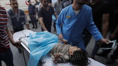 WHO kêu gọi Israel quan tâm người dân Palestine ở lãnh thổ chiếm đóng