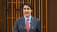 Canada viện trợ quân sự trị giá 375 triệu USD cho Ukraine