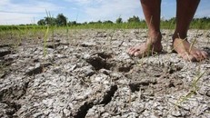 El Nino đe dọa an ninh lương thực toàn cầu