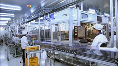 Chuyên gia Hàn Quốc nhận định về khả năng hợp tác kinh tế Hàn – Việt