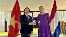 Phó Thủ tướng Chính phủ Trần Hồng Hà thăm và làm việc tại Hà Lan