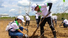 Xu hướng mới về bảo vệ môi trường trong cơ sở giáo dục