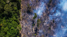 NASA cung cấp ảnh vệ tinh giúp ngăn chặn nạn phá rừng Amazon