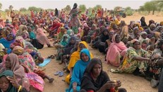 LHQ tiếp tục viện trợ nhân đạo cho Niger bất chấp cuộc đảo chính