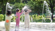 Số ca tử vong vì nắng nóng tại Hàn Quốc tăng mạnh