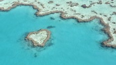 UNESCO ghi nhận nỗ lực bảo tồn rạn san hô Great Barrier