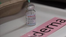 Moderna dự báo thu 4 tỷ USD từ bán vaccine ngừa COVID-19 trên thị trường tư nhân