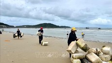 Rác phao xốp ở các vùng lân cận trôi dạt, phủ kín bờ biển Cô Tô