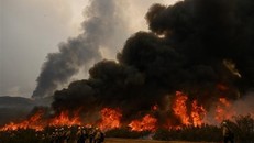 Thảm họa cháy rừng ở Hawaii: Thiệt hại vật chất ước tính 6 tỷ USD