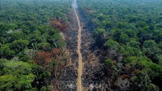 Lượng khí thải carbon từ rừng Amazon tăng vọt trong năm 2019 và 2020